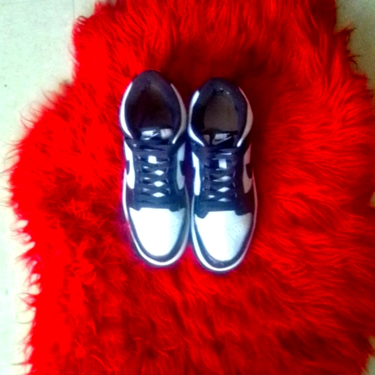 The Panda Dunks
